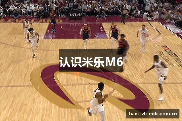认识米乐M6
